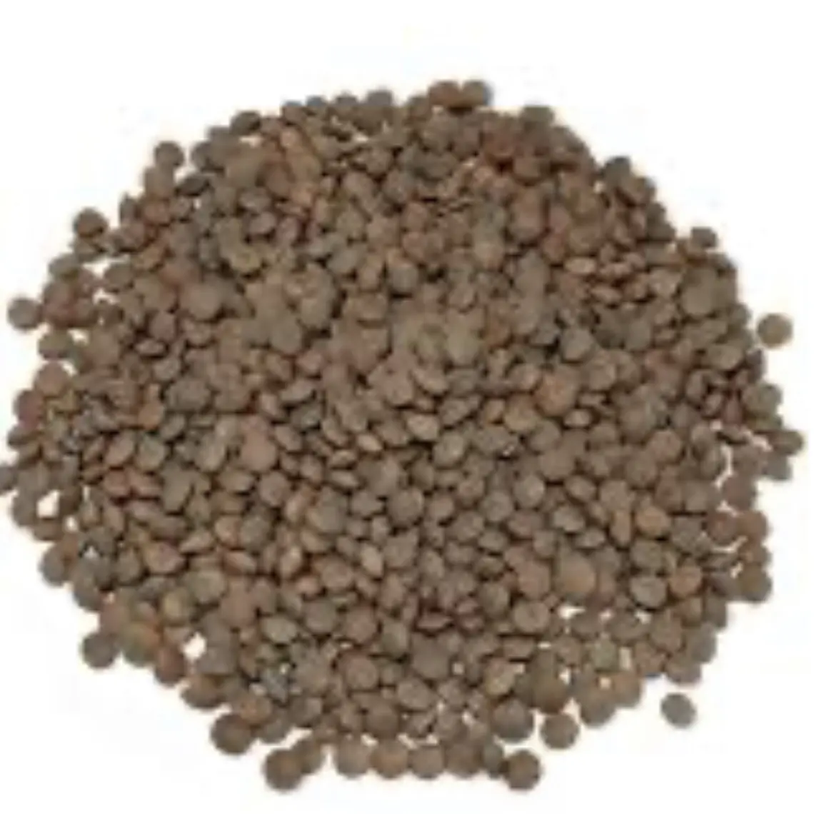 Lenteja Pequeña (kg) 1