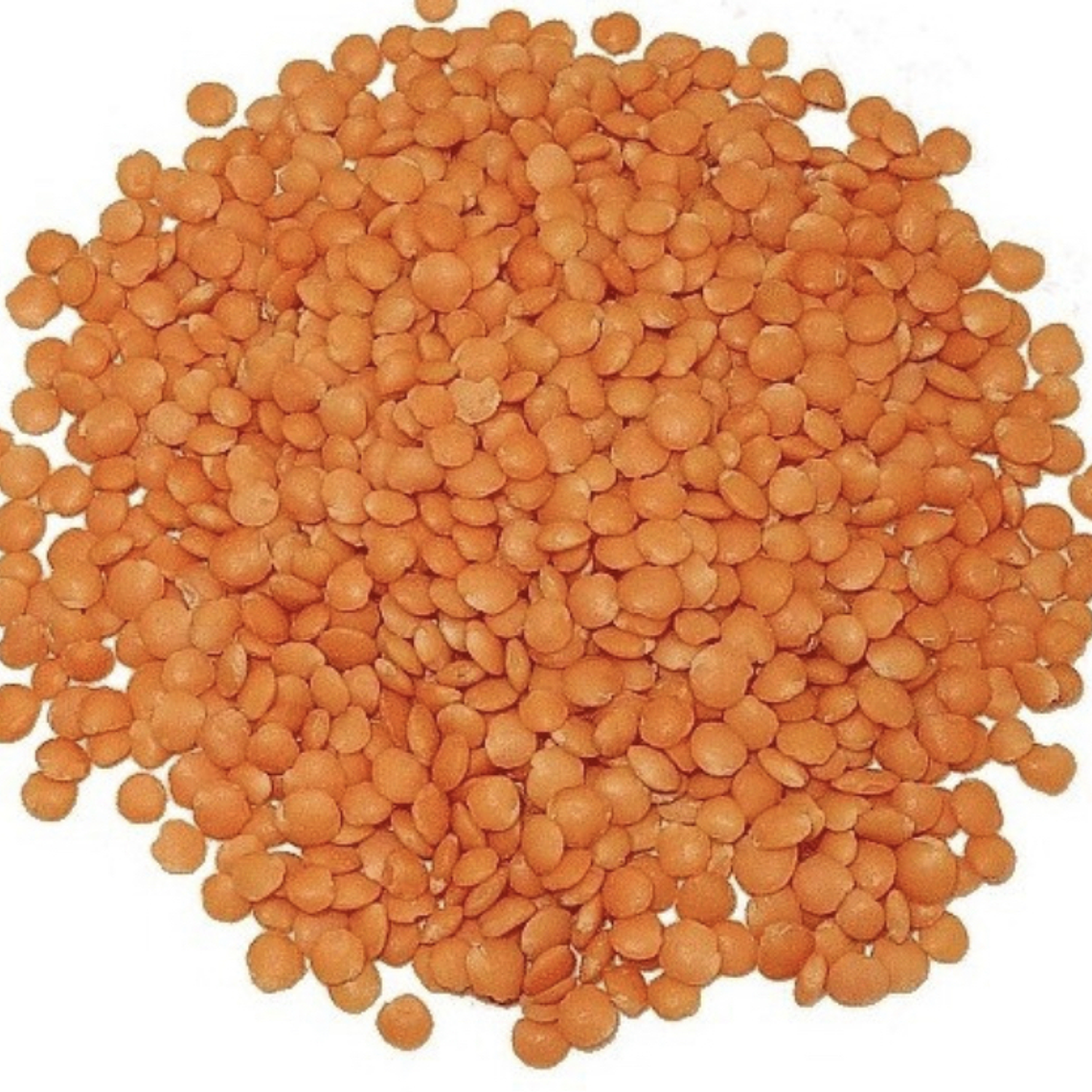 Lenteja Roja (kg) 1