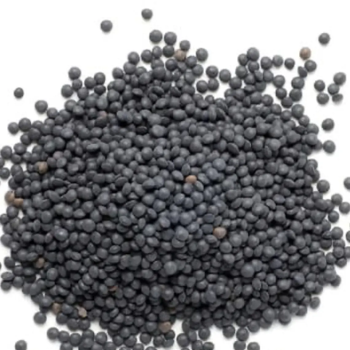 Lenteja Negra (kg) 1