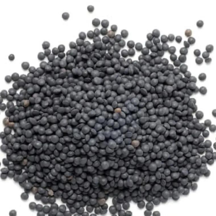Lenteja Negra (kg) 1