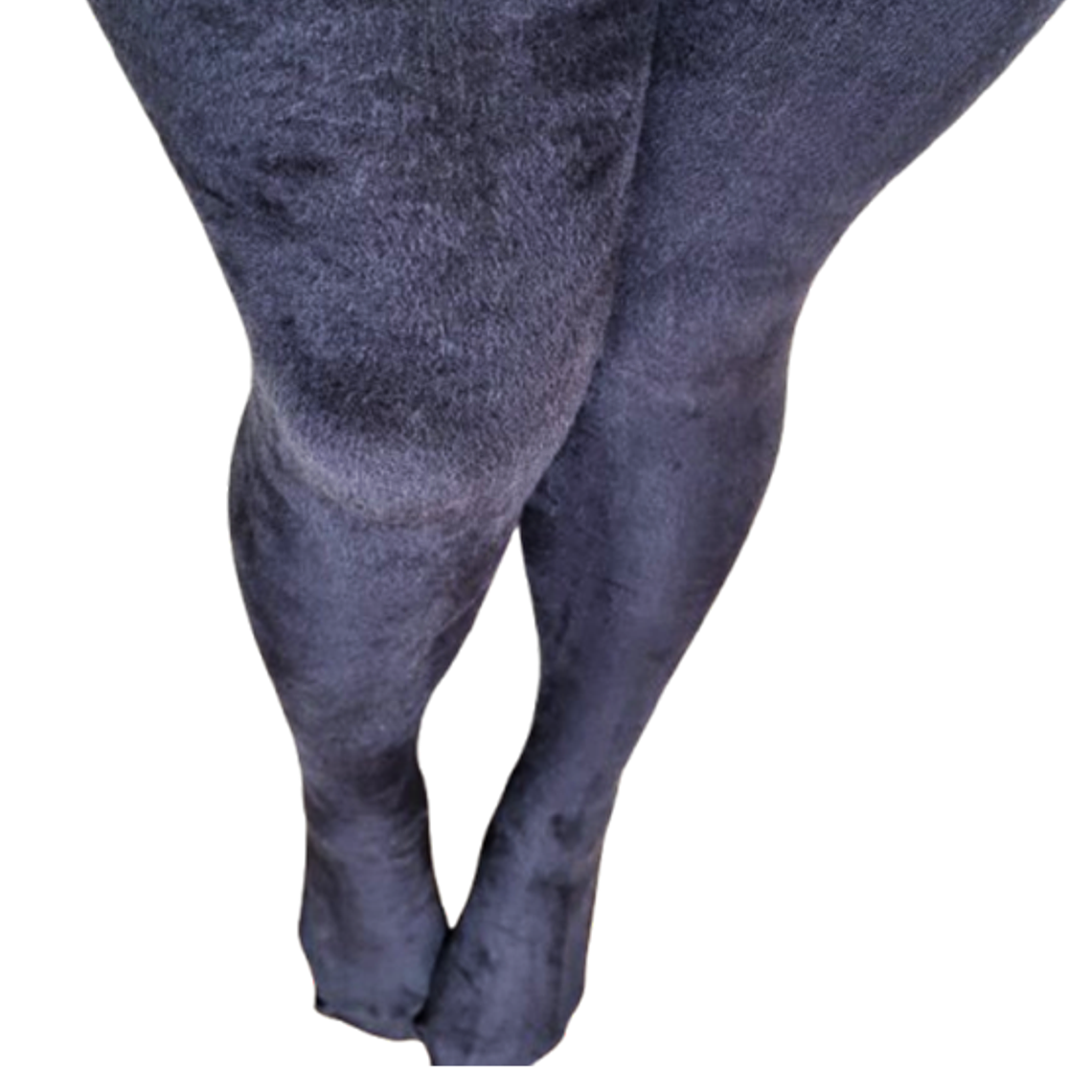 Panty Negra Polar Elasticada Mujer  1