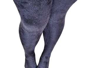 Panty Negra Polar Elasticada Mujer 