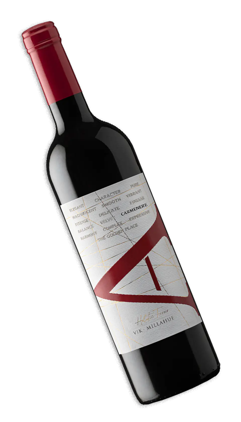 VIK A CARMENERE LIMITED EDITION 750 ML 2