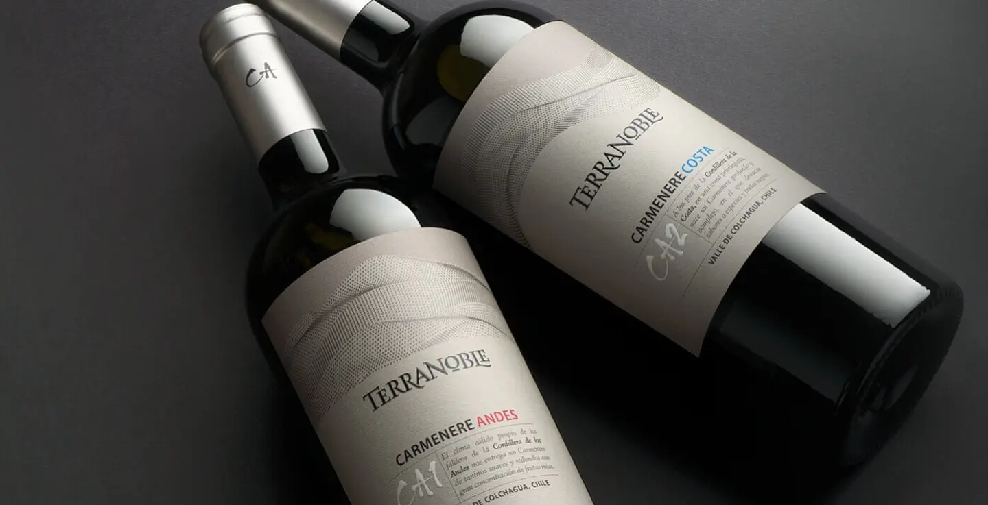 VINO SUPER PREMIUM TERRANOBLE CA1 ANDES CA 750 CC 2022 2