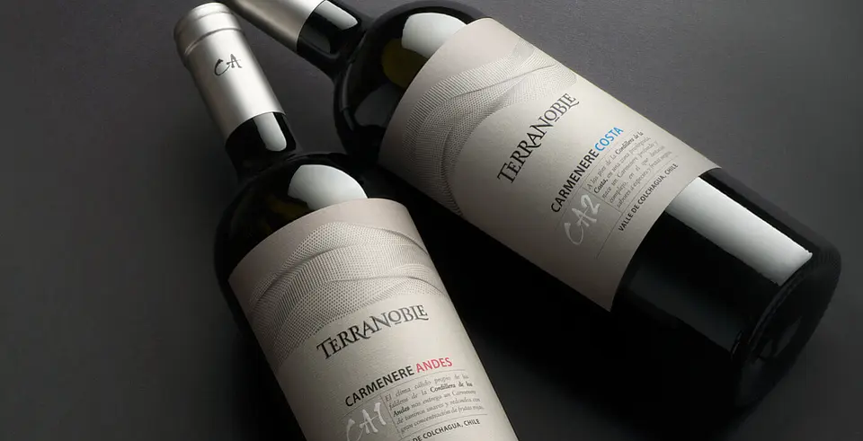 VINO SUPER PREMIUM TERRANOBLE CA1 ANDES CA 750 CC 2022 2