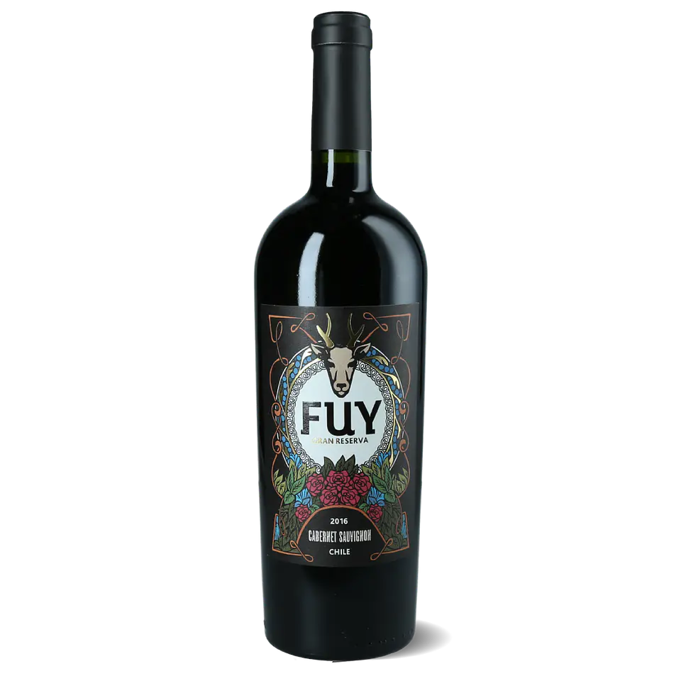 FUY Gran Reserva Cabernet Sauvignon 2021 1