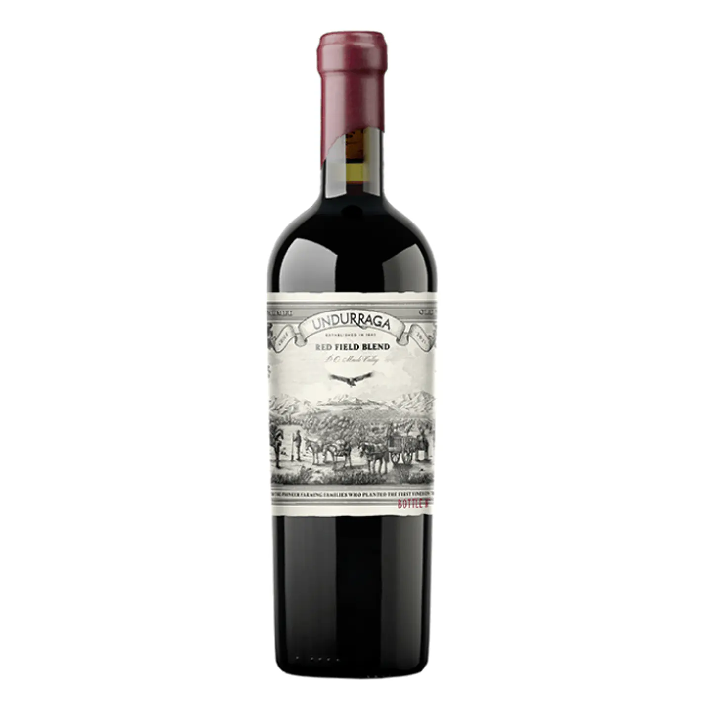 Vino Undurraga Red Field Blend Super Premium 2023 1