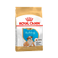 Alimento Royal Canin Bulldog Ingles Puppy x 7,5 kilos - Miniatura 1