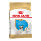 Alimento Royal Canin Bulldog Frances Puppy x 3 kilos  - Miniatura 1