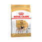 Alimento Royal Canin Pug Adulto x 7,5 Kilos  - Miniatura 1