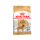 Alimento Royal Canin Golden Retriever Adulto x 12 Kilos - Miniatura 1