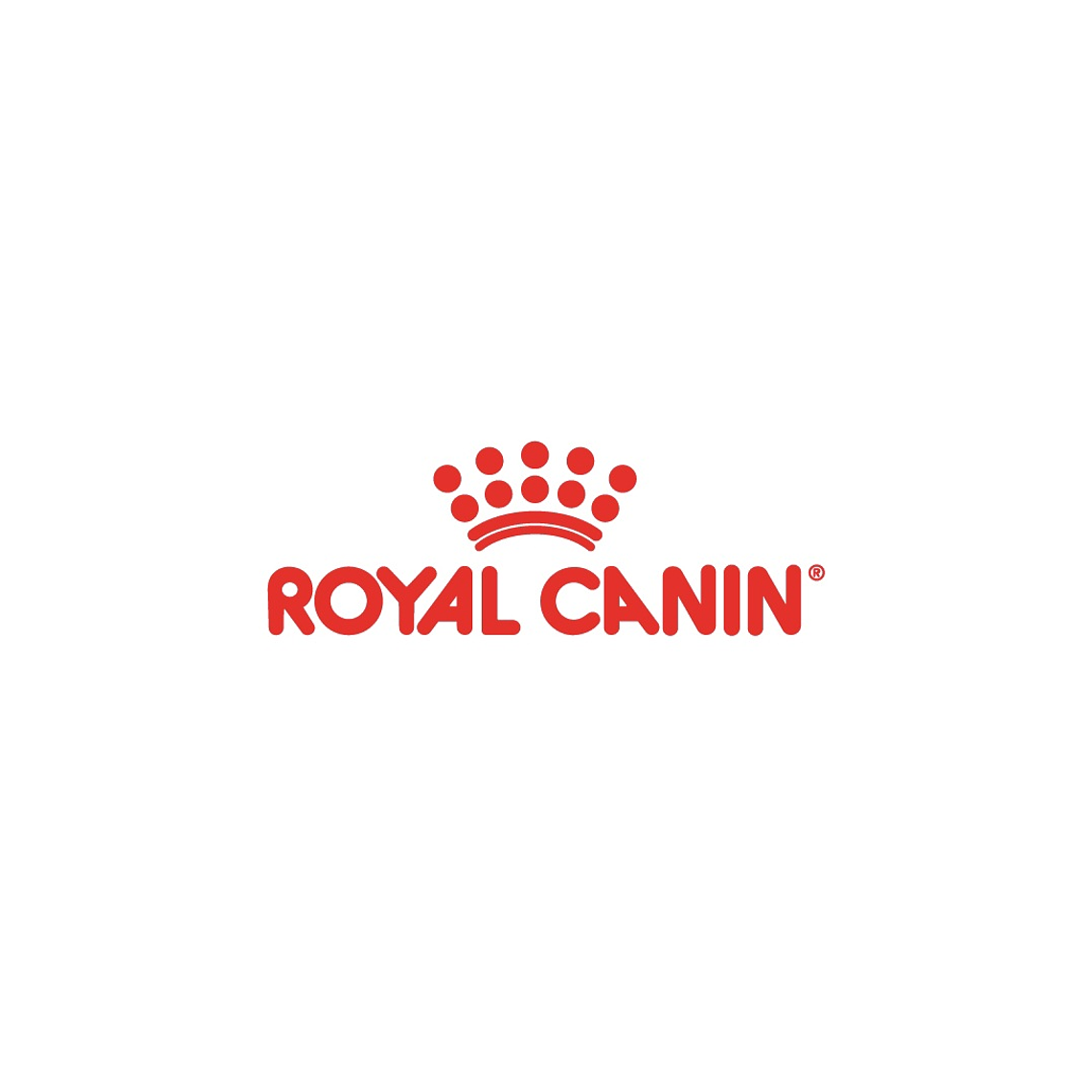 Alimento Royal Canin Labrador Retriever Adulto x 12 kilos 2