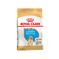 Alimento Royal Canin Labrador Retriever Puppy x 12 Kilos  - Miniatura 1