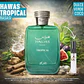 Decant Hawas Tropical  - Miniatura 1