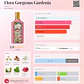 Pack de Marca Gucci - Miniatura 3
