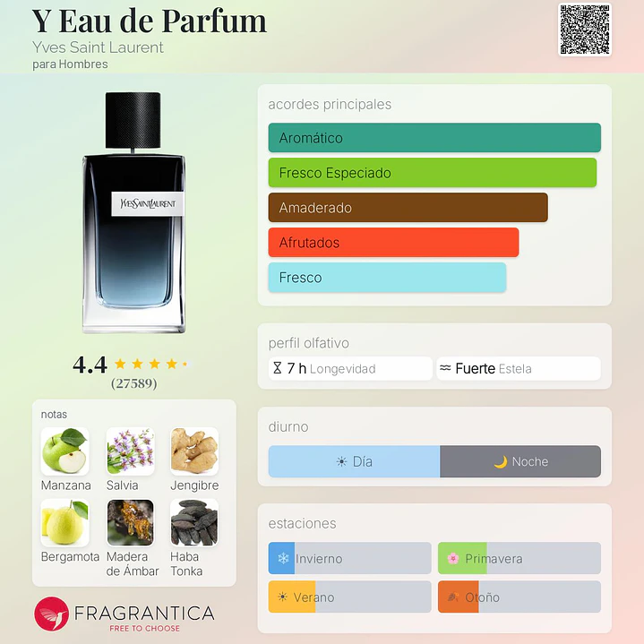 Pack de Marca Yves Saint Laurent — Colección Y 3