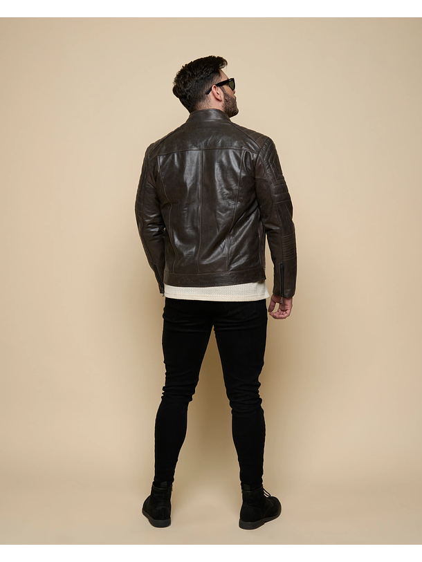 Sempiterno marrón envejecido. 2