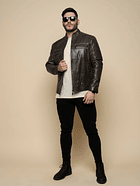 Sempiterno marrón envejecido. 3