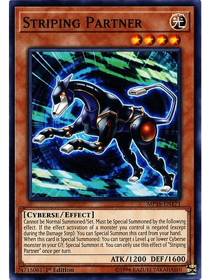 Striping Partner - MP18-EN171 - Common 1st Edition