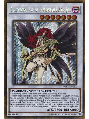 Blackwing Tamer - Obsidian Hawk Joe - PGL2-EN012 - Gold Secret Rare Unlimited
