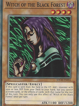 Witch of the Black Forest - SDCH-EN016 - Common 1st Edition