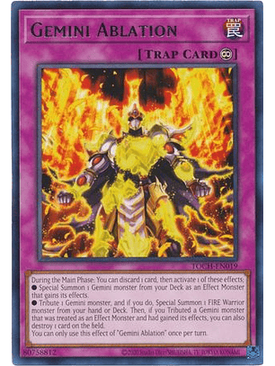 Gemini Ablation - TOCH-EN019 - Rare Unlimited