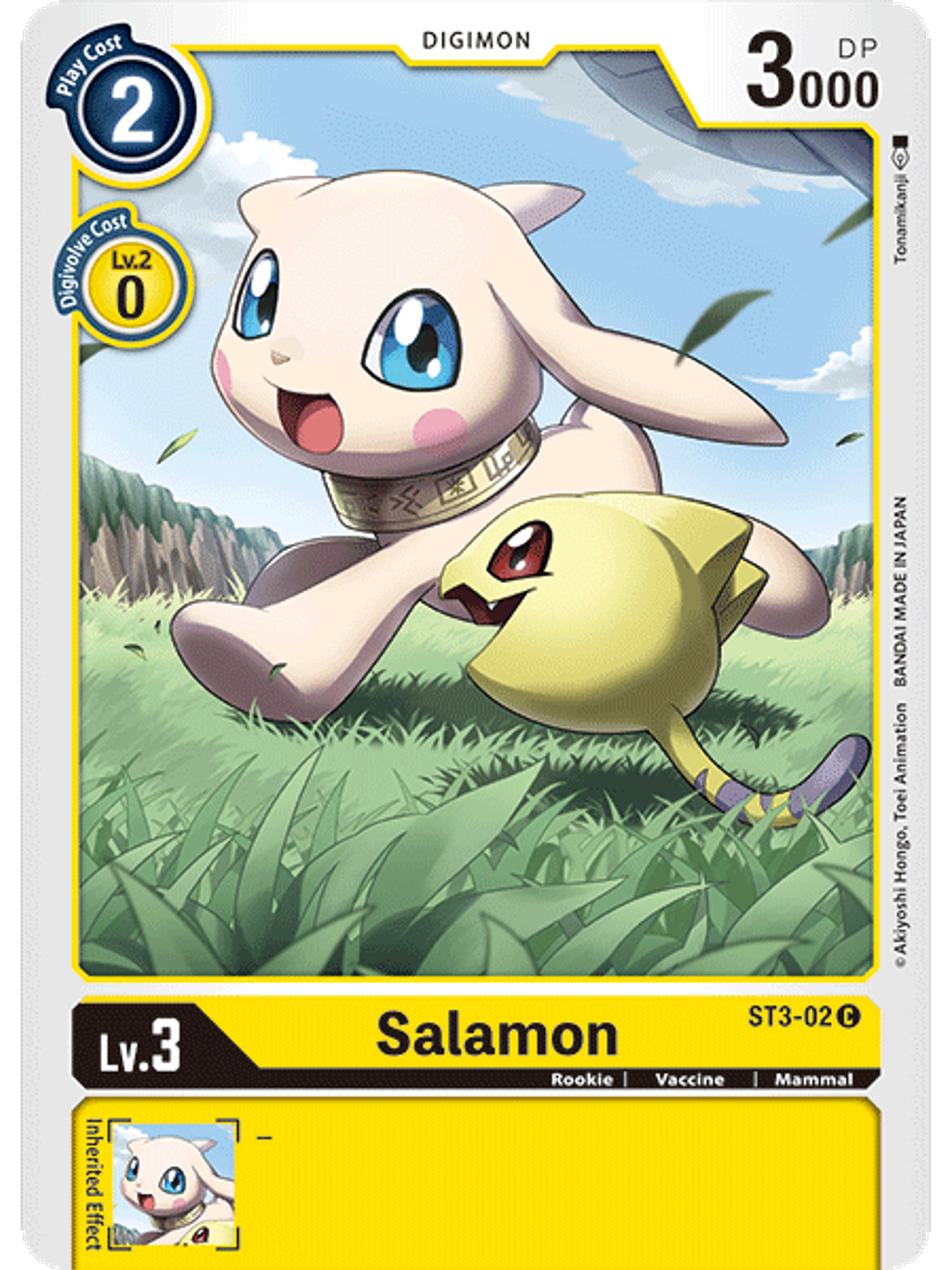 Salamon - ST3-02 1