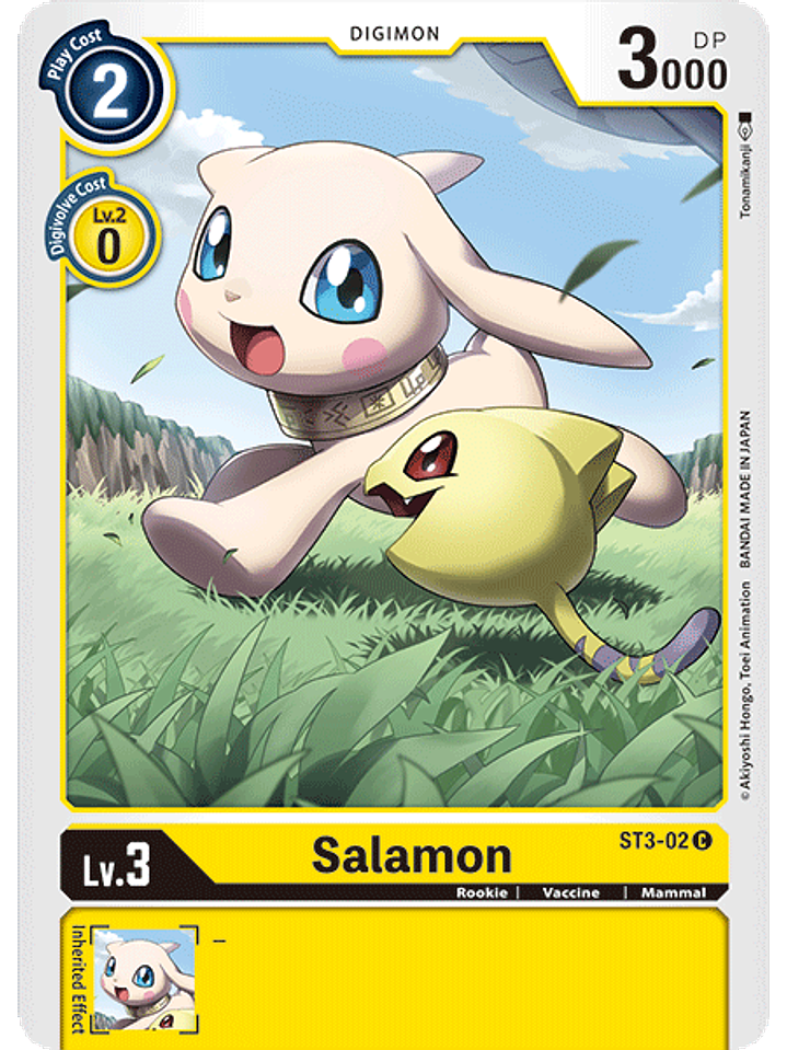 Salamon - ST3-02 1