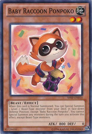 Baby Raccoon Ponpoko - shsp-en014 - Common Unlimited