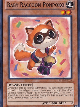 Baby Raccoon Ponpoko - shsp-en014 - Common Unlimited