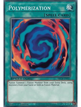 Polymerization - SBCB-EN011 - Common - 1st Edition