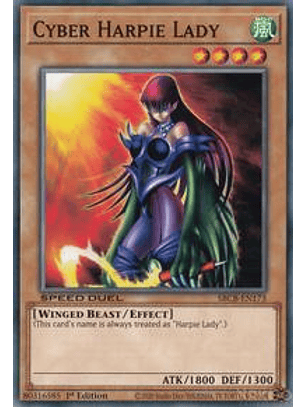 Cyber Harpie Lady - SBCB-EN173 - Common - 1st Edition