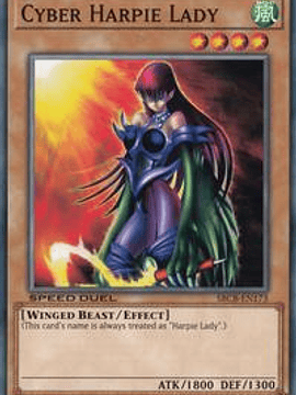 Cyber Harpie Lady - SBCB-EN173 - Common - 1st Edition