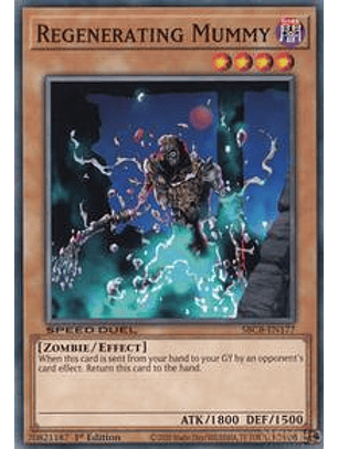 Regenerating Mummy - SBCB-EN177 - Common - 1st Edition