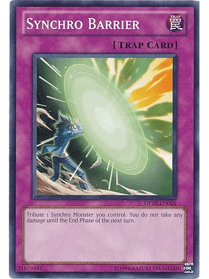 Synchro Barrier - DP10-EN026 - Common Unlimited