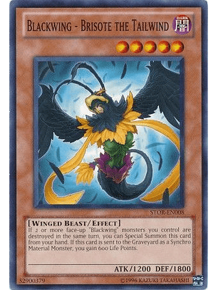 Blackwing - Brisote the Tailwind - STOR-EN008 - Common Unlimited