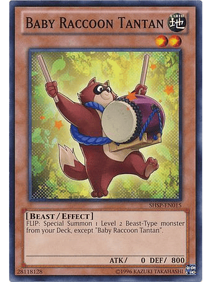 Baby Raccoon Tantan - shsp-en015 - Common Unlimited