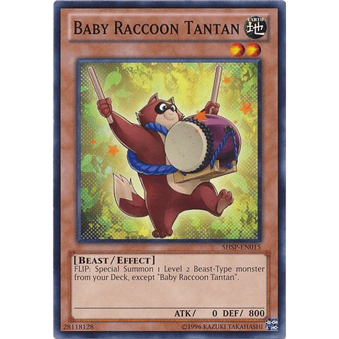 Baby Raccoon Tantan - shsp-en015 - Common Unlimited