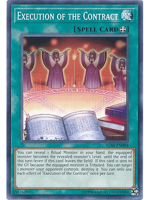 Execution of the Contract - IGAS-EN084 - Common Unlimited