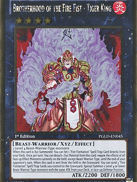 Brotherhood of the Fire Fist - Tiger King - PGLD-EN045 - Gold Rare 1st Edition