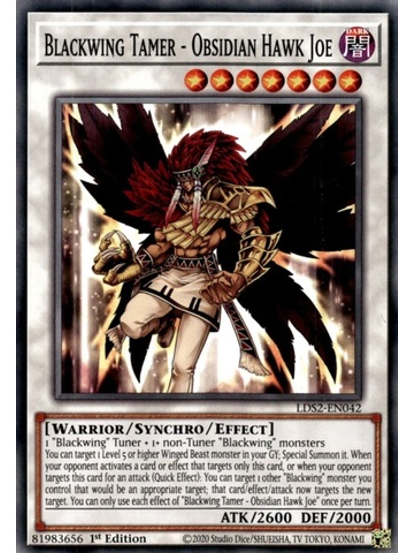 Blackwing Tamer - Obsidian Hawk Joe - LDS2-EN042 - Common 1st Edition 1