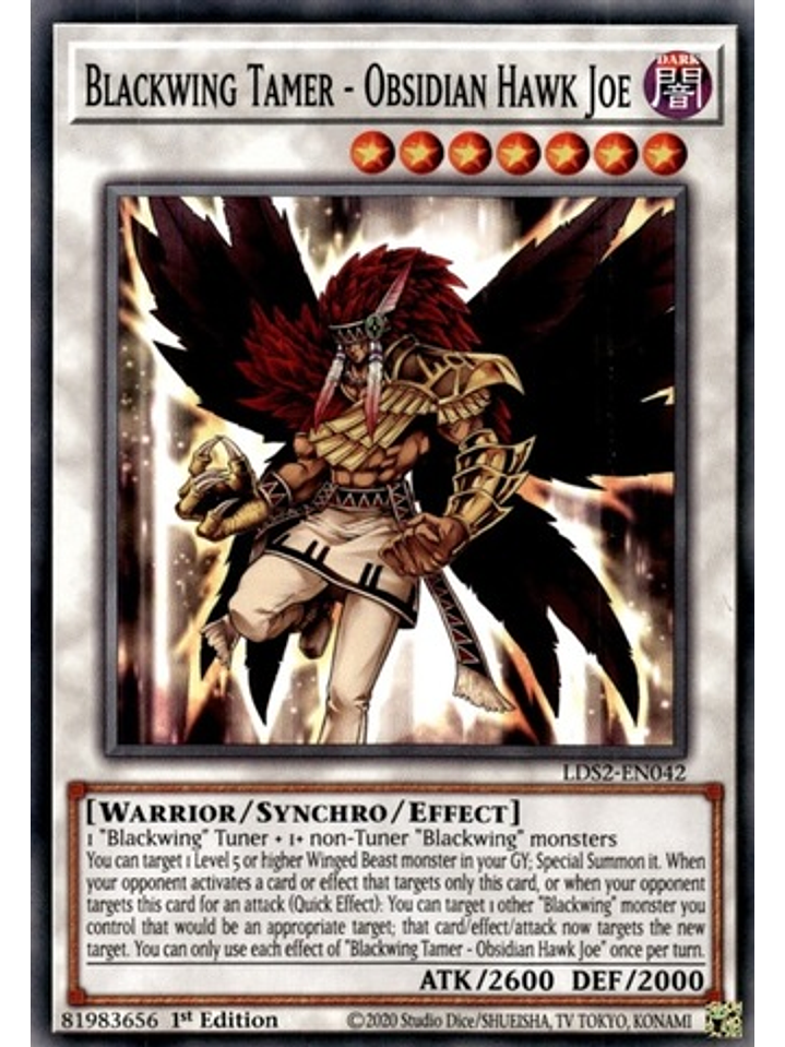 Blackwing Tamer - Obsidian Hawk Joe - LDS2-EN042 - Common 1st Edition 1
