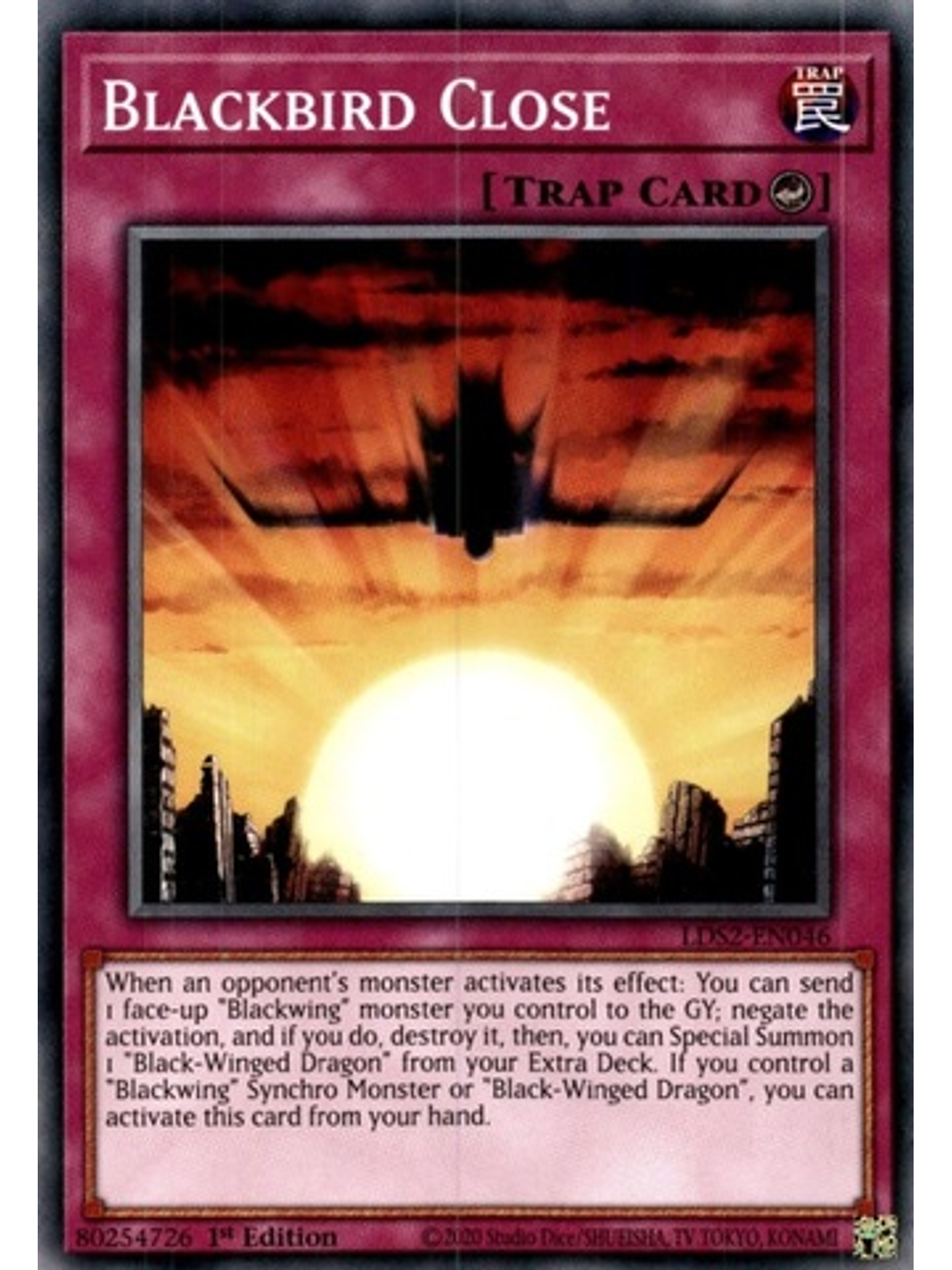 Blackbird Close - LDS2-EN046 - Common 1st Edition 1