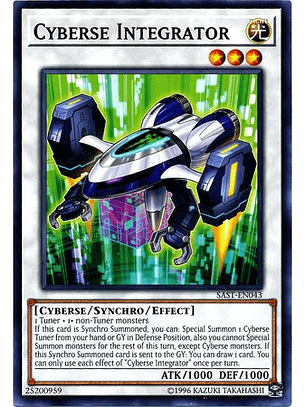 Cyberse Integrator - sast-en043 - Common Unlimited