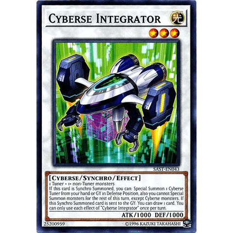Cyberse Integrator - sast-en043 - Common Unlimited