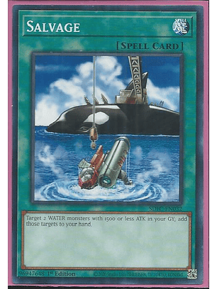 Salvage - SDFC-EN032 - Common 1st Edition
