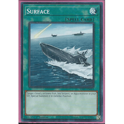 Surface - SDFC-EN033 - Common 1st Edition