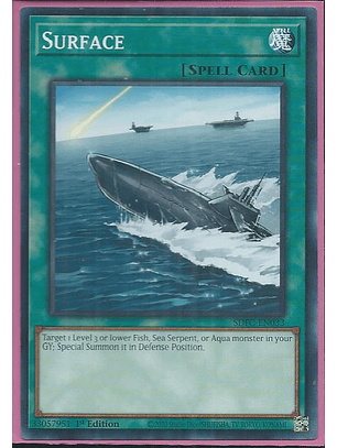 Surface - SDFC-EN033 - Common 1st Edition