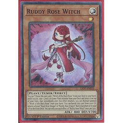 Ruddy Rose Witch - LIOV-EN010 - Super Rare 1st Edition