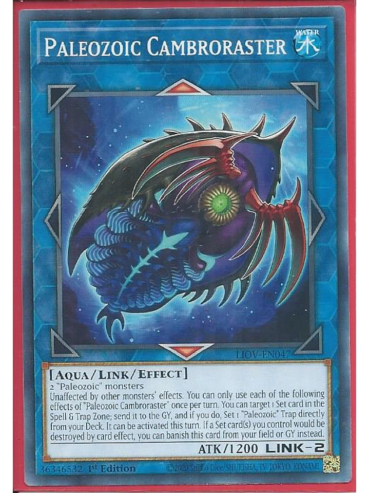 Paleozoic Cambroraster - LIOV-EN047 - Common 1st Edition 1